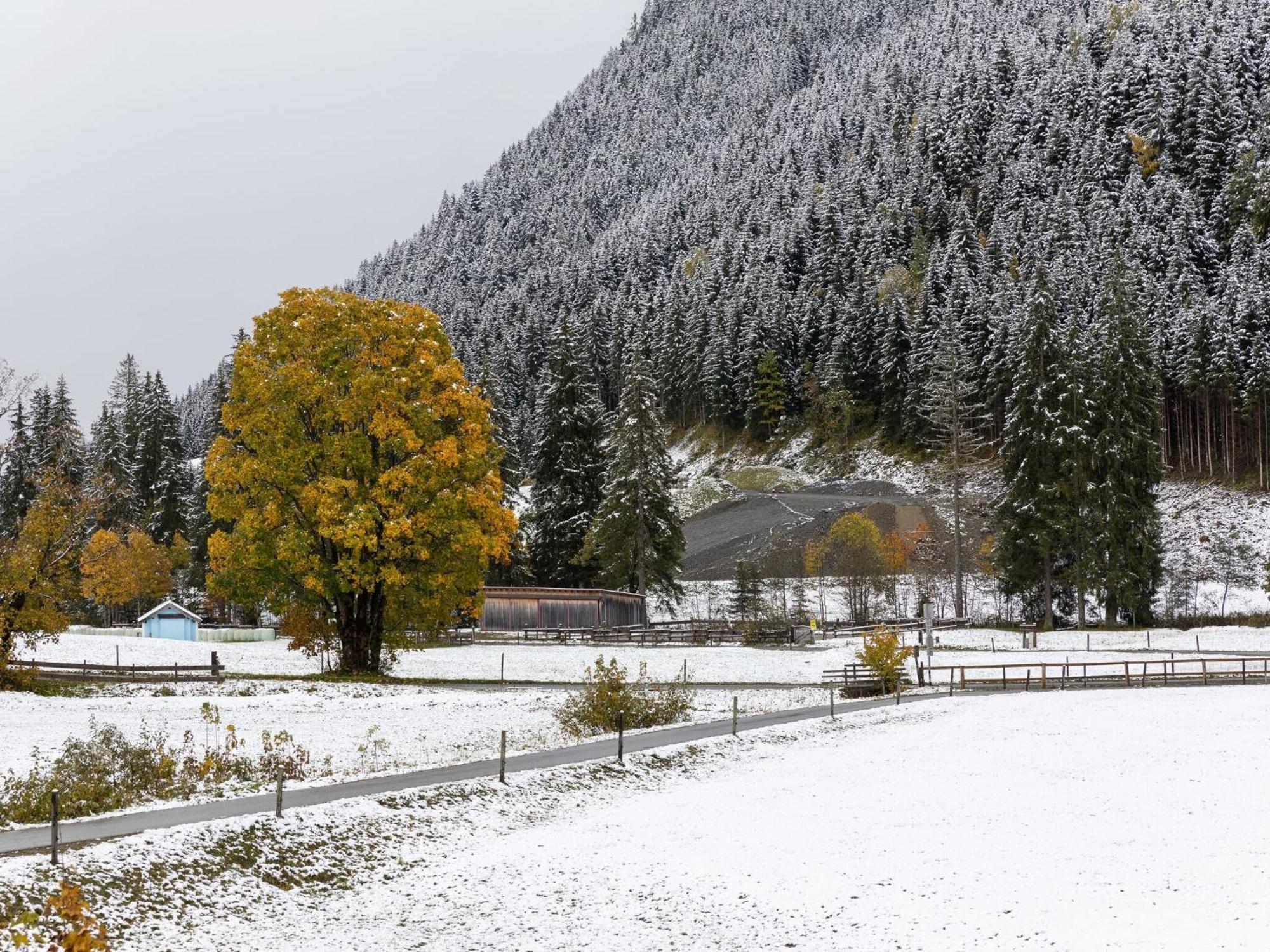 Chalet Apartment In Saalbach Hinterglemm Esterno foto
